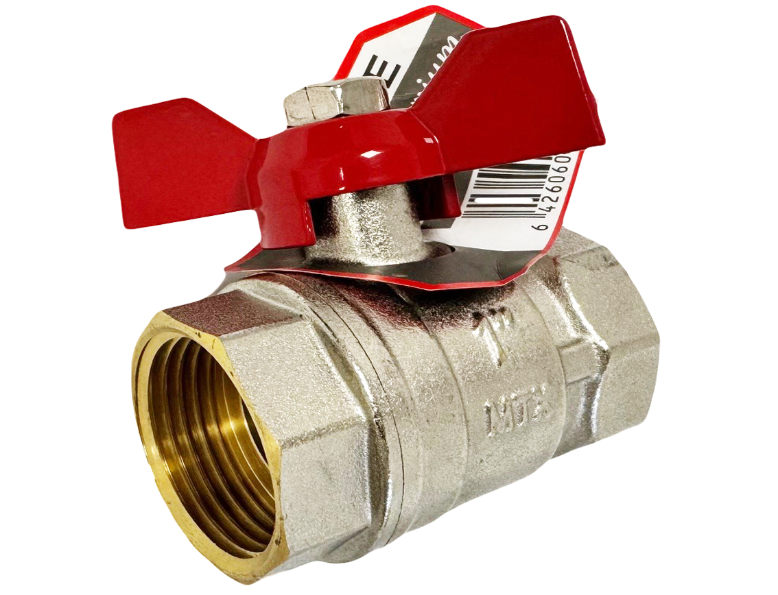 1G50288 ROBINET Apa MTX Alama PN25 1FF - imagine 1